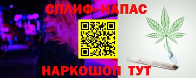 гашик Туймазы