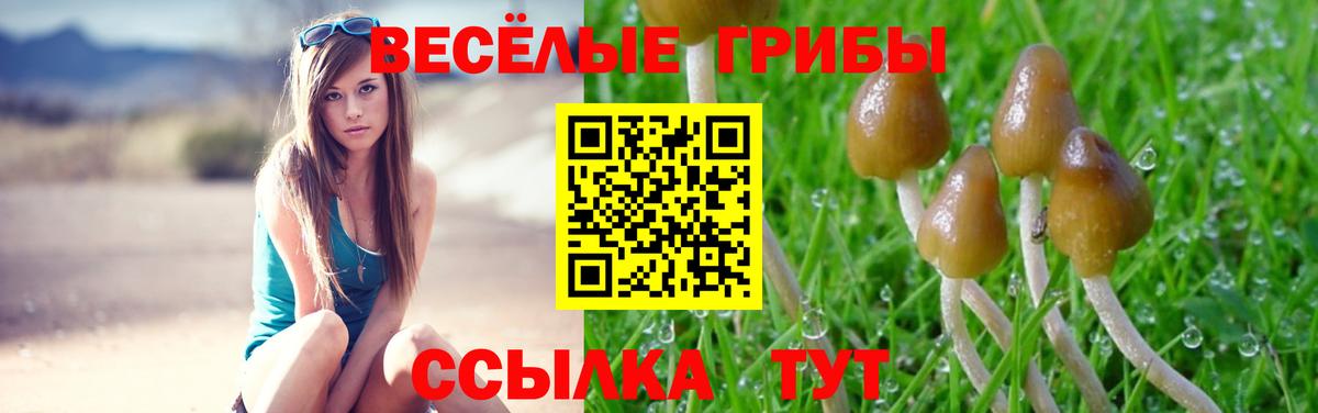 Галлюциногенные грибы Magic Shrooms Борзя